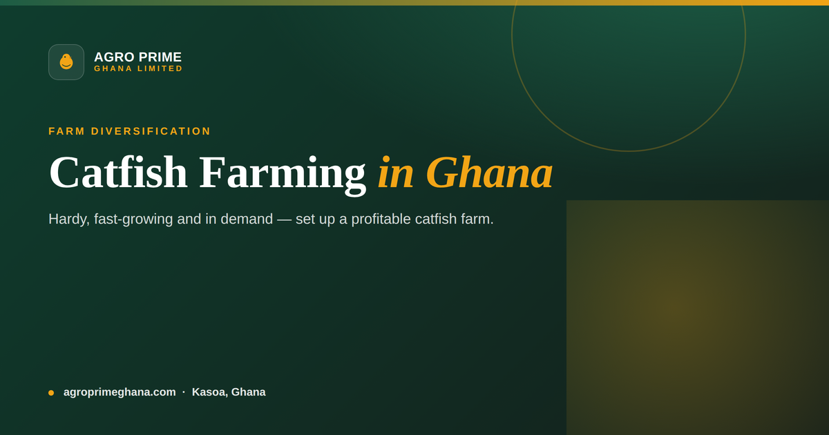 Catfish farming in Ghana — catfish in a farm pond