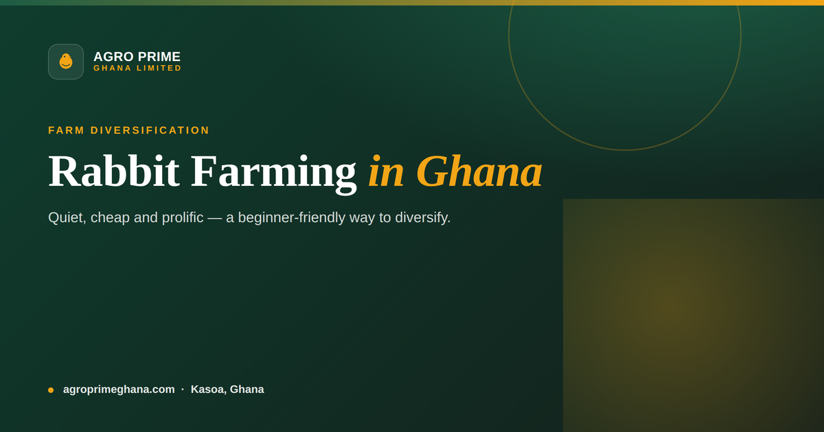 Rabbit farming in Ghana — rabbits in raised hutches