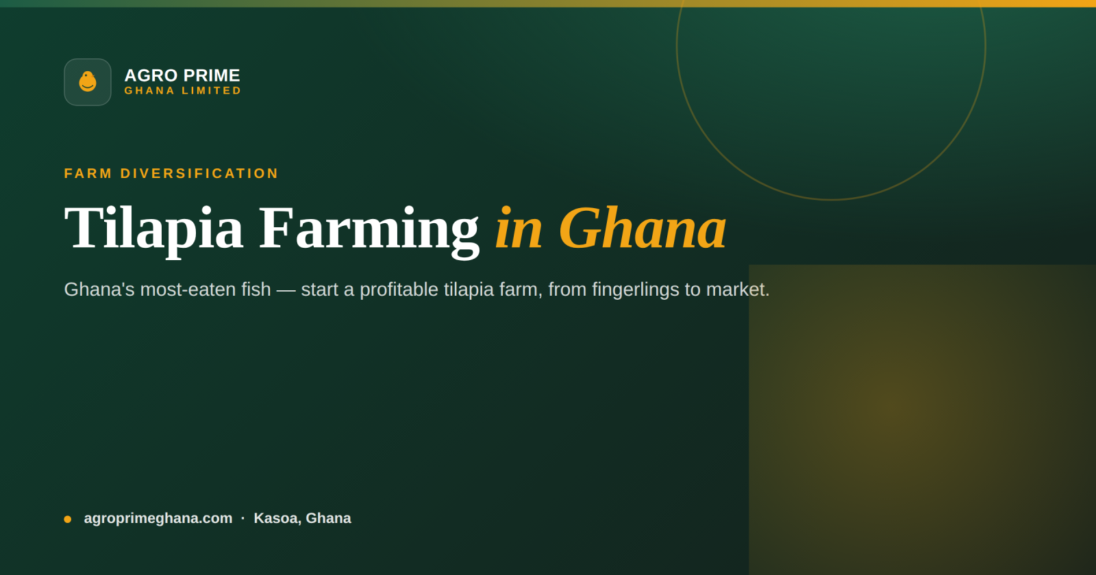 Tilapia farming in Ghana — fresh farmed tilapia fish