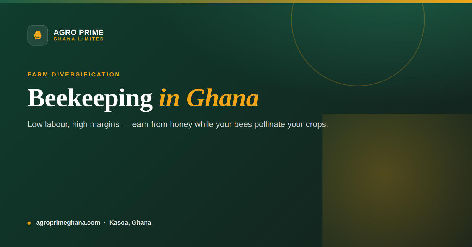 Beekeeping in Ghana — beehives in an apiary