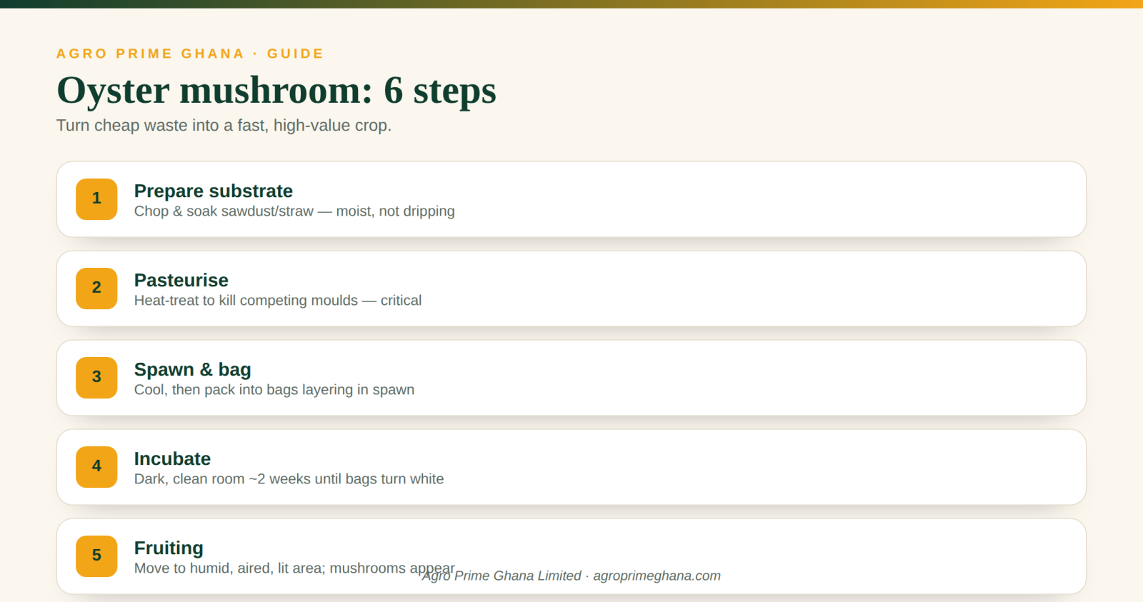 Six steps to growing oyster mushrooms in Ghana, from substrate to harvest