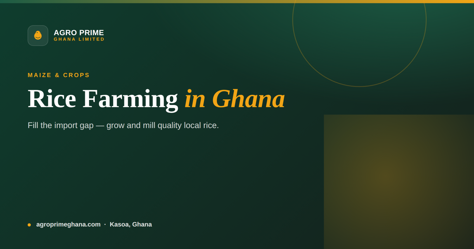 Rice farming in Ghana — a paddy rice field