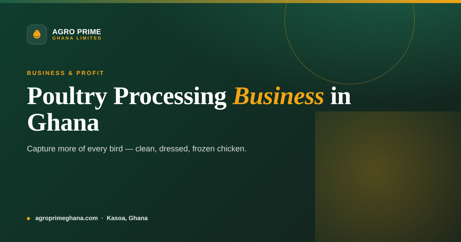 Poultry processing business in Ghana — clean dressed chicken