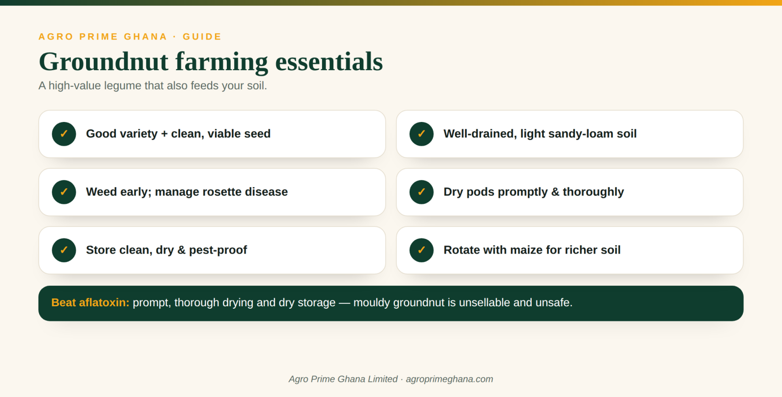 Groundnut farming essentials for Ghana, including beating aflatoxin through drying and storage