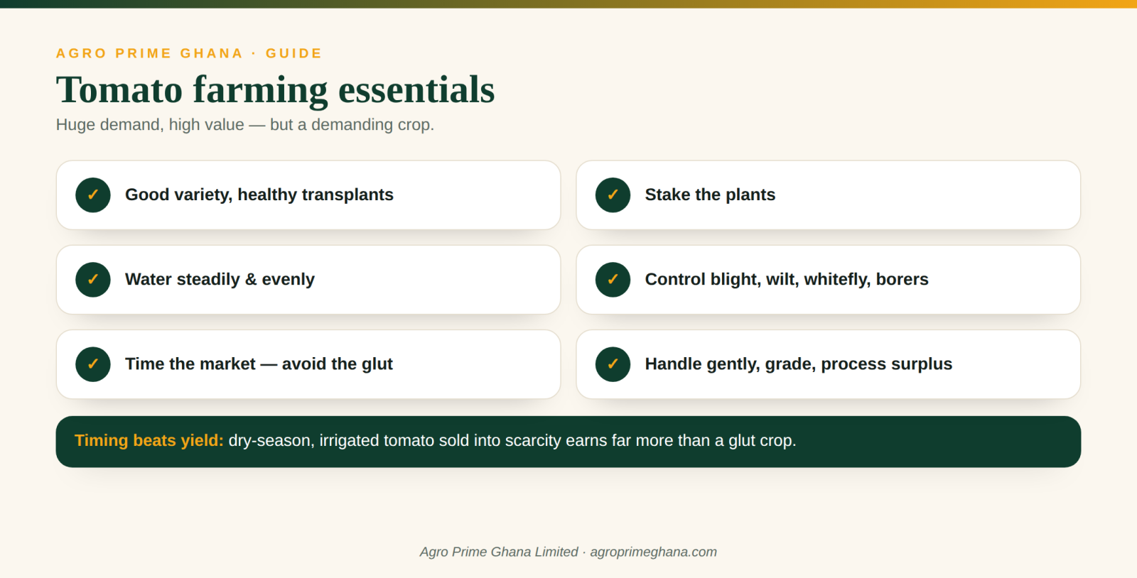 Tomato farming essentials: healthy transplants, staking, steady watering, disease control and market timing