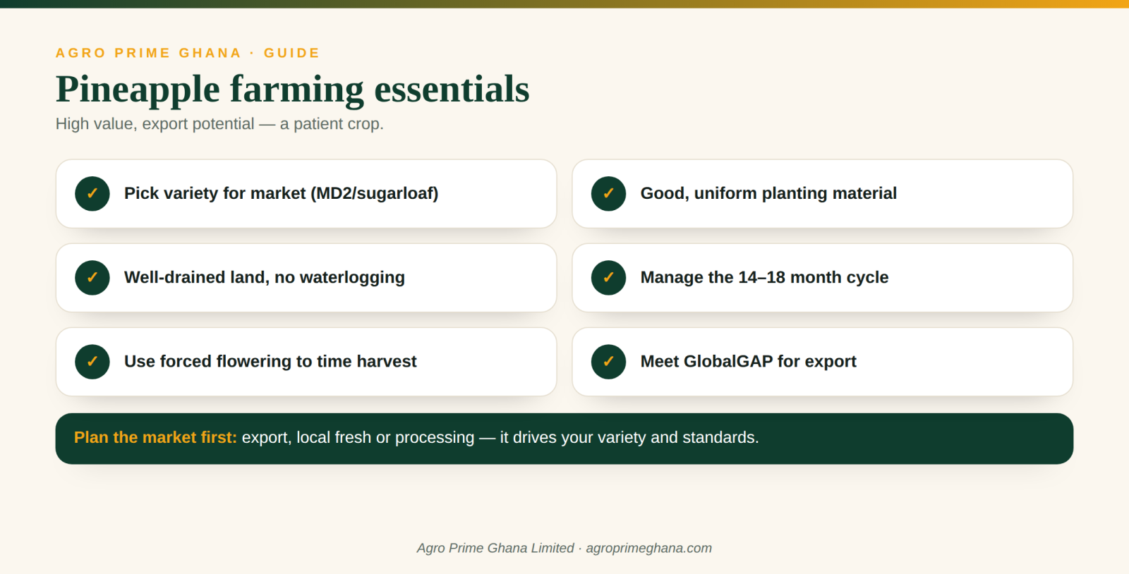 Pineapple farming essentials: variety choice, planting material, drainage, the long cycle, forced flowering and export standards
