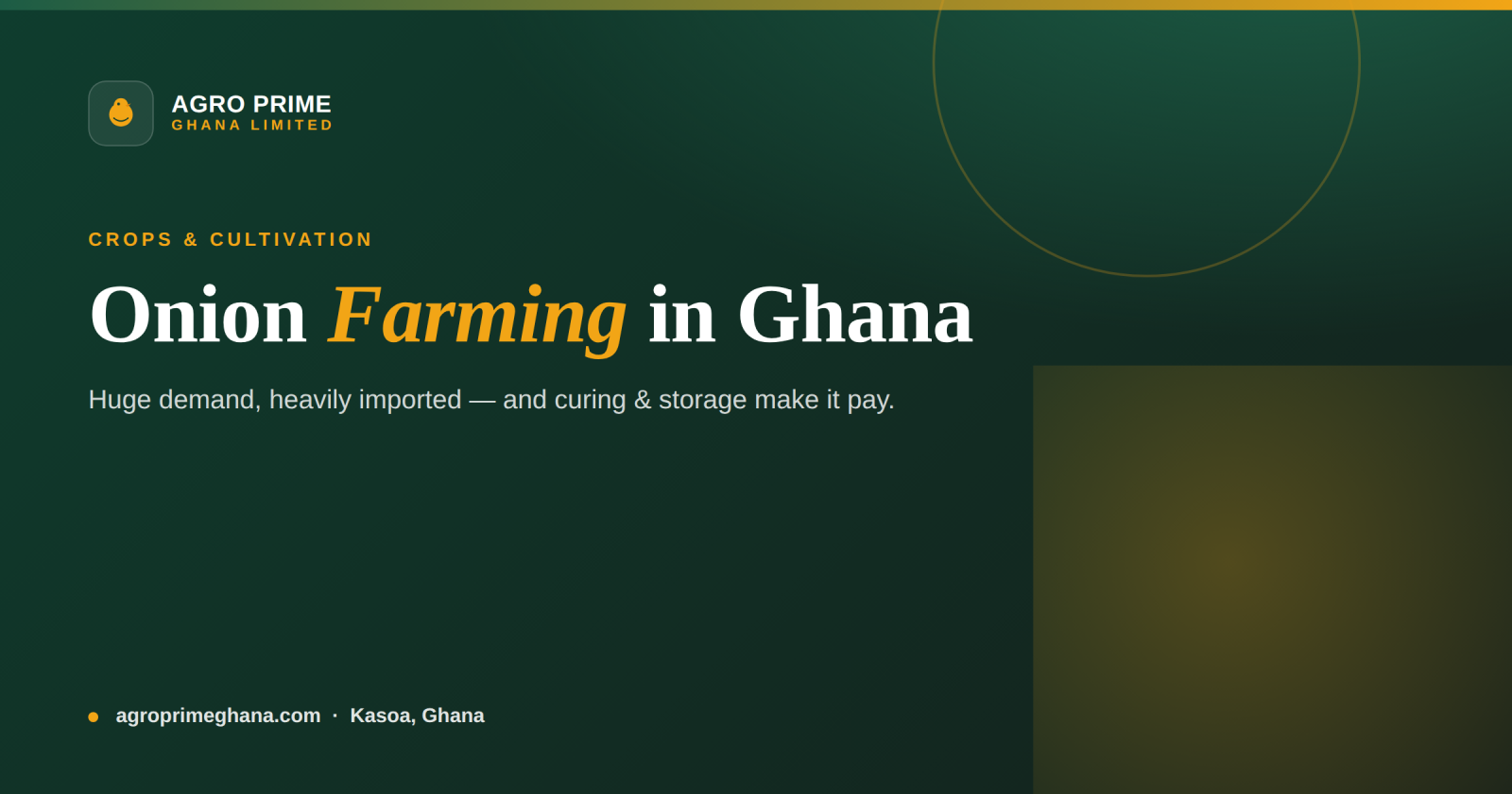 Onion farming in Ghana infographic — transplants, watering, thrips control, curing and storage