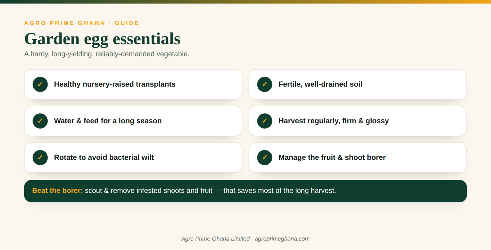 Garden egg essentials: healthy transplants, feeding, regular harvest, rotation and borer control
