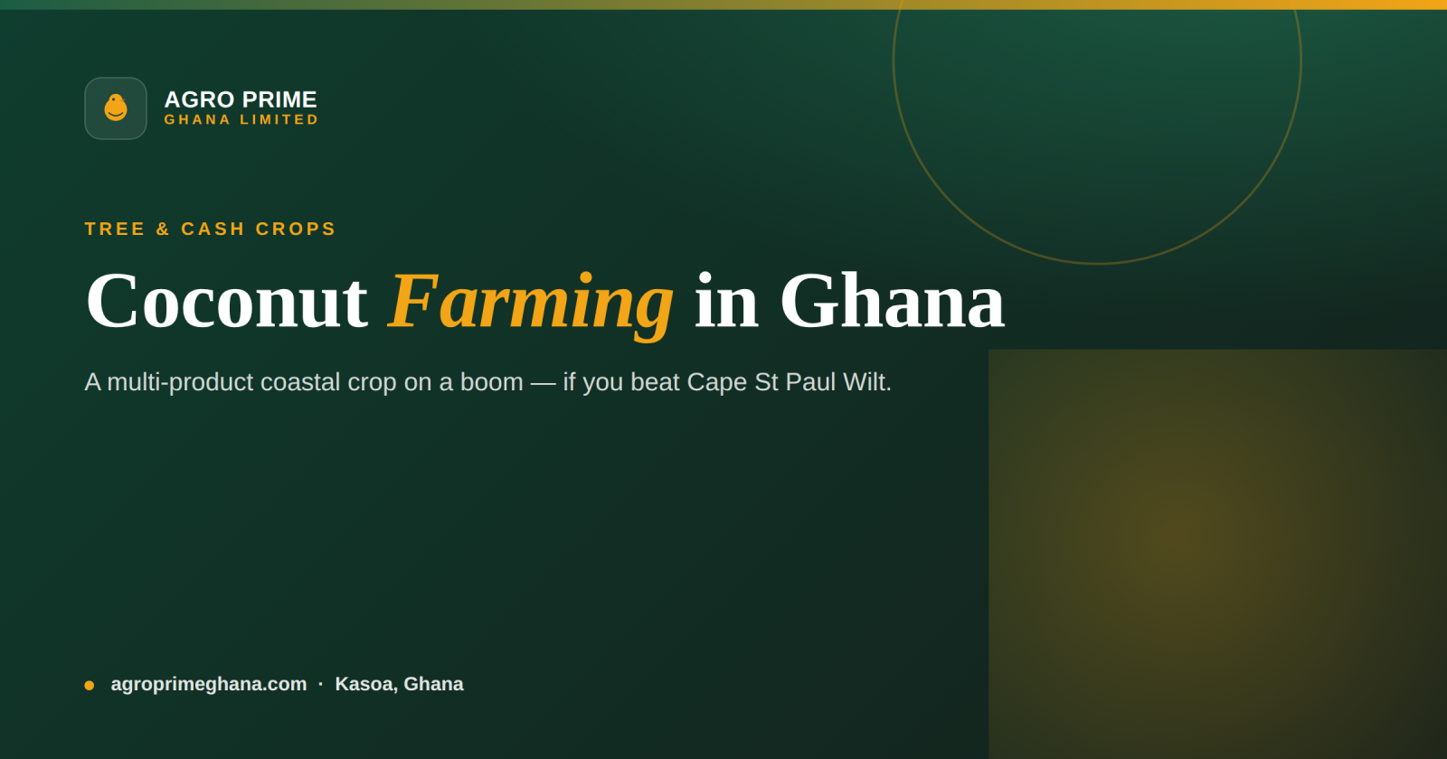 Coconut farming in Ghana infographic — tolerant varieties, Cape St Paul Wilt management and value addition