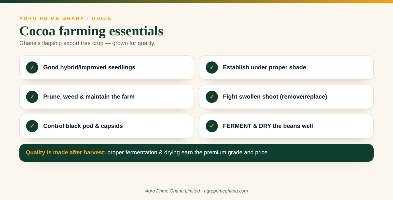 Cocoa farming essentials: hybrid seedlings, shade, disease control and bean fermentation and drying