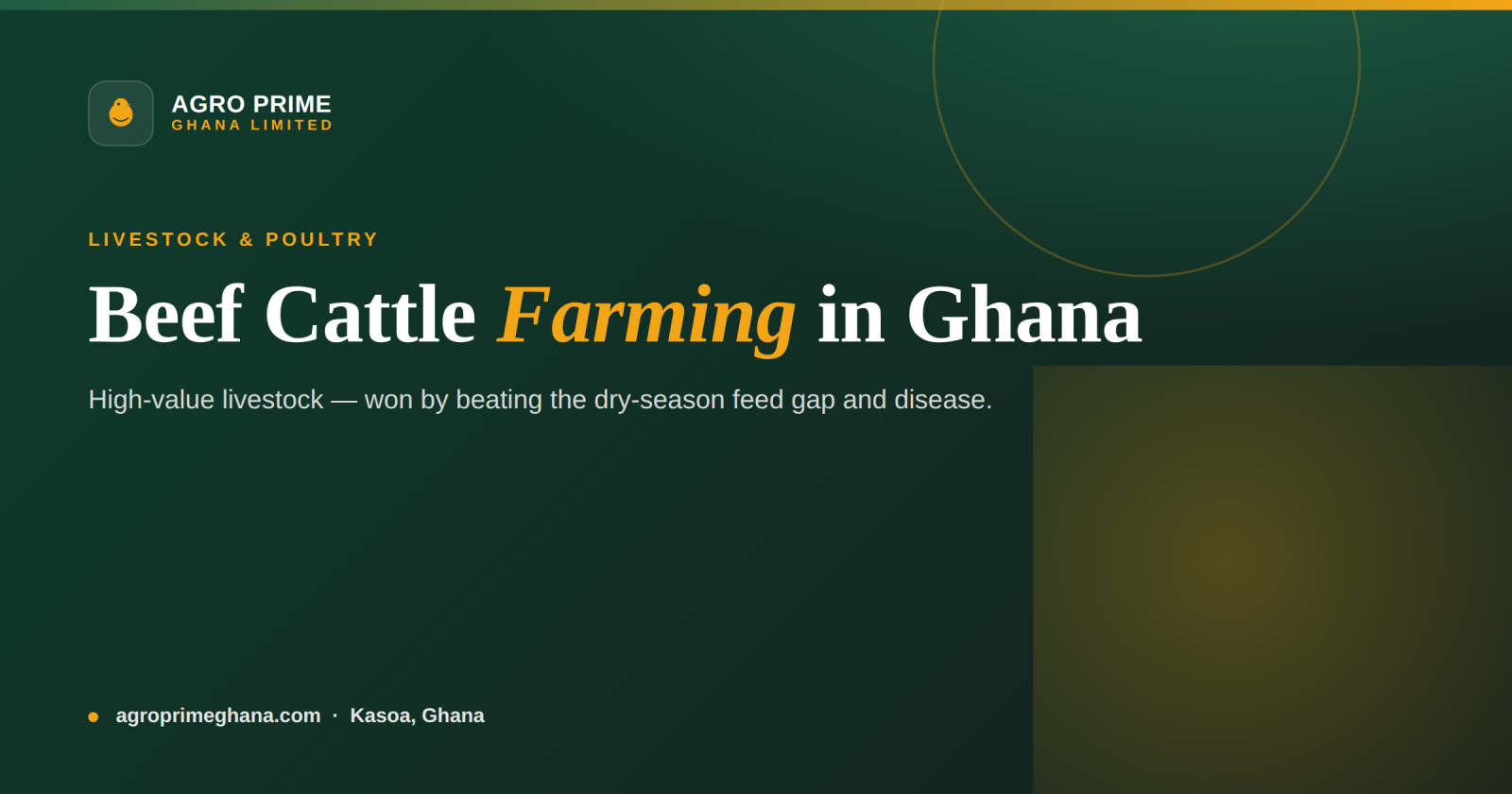 Beef cattle farming in Ghana infographic — breeds, dry-season feed, health control and management