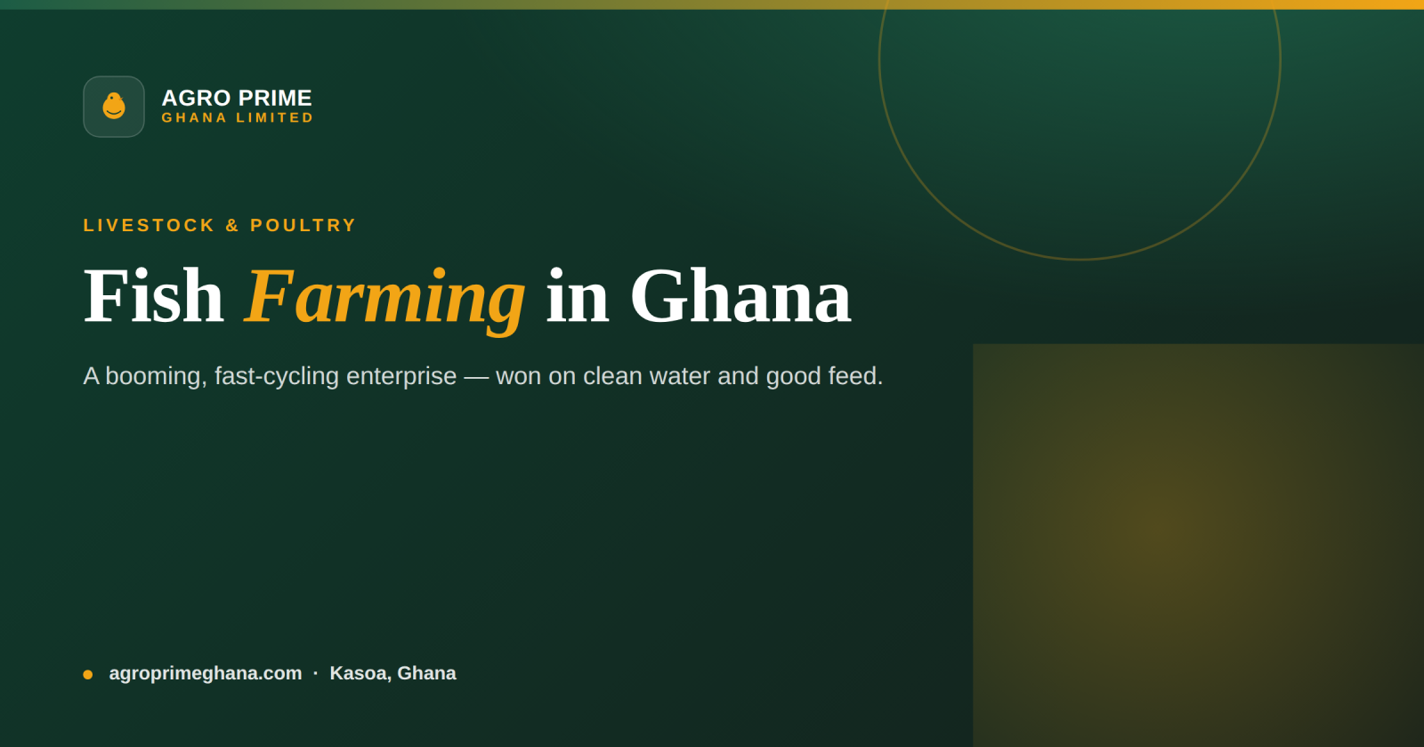 Fish farming in Ghana infographic — site and clean water, system choice, fingerlings, water quality and feeding