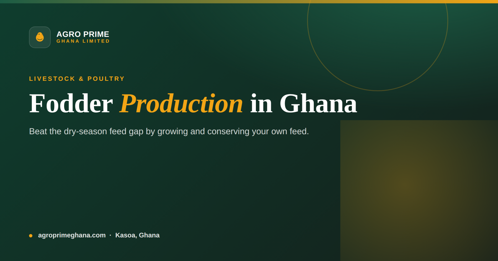 Fodder production in Ghana infographic — fodder grasses and legumes, and conserving hay and silage
