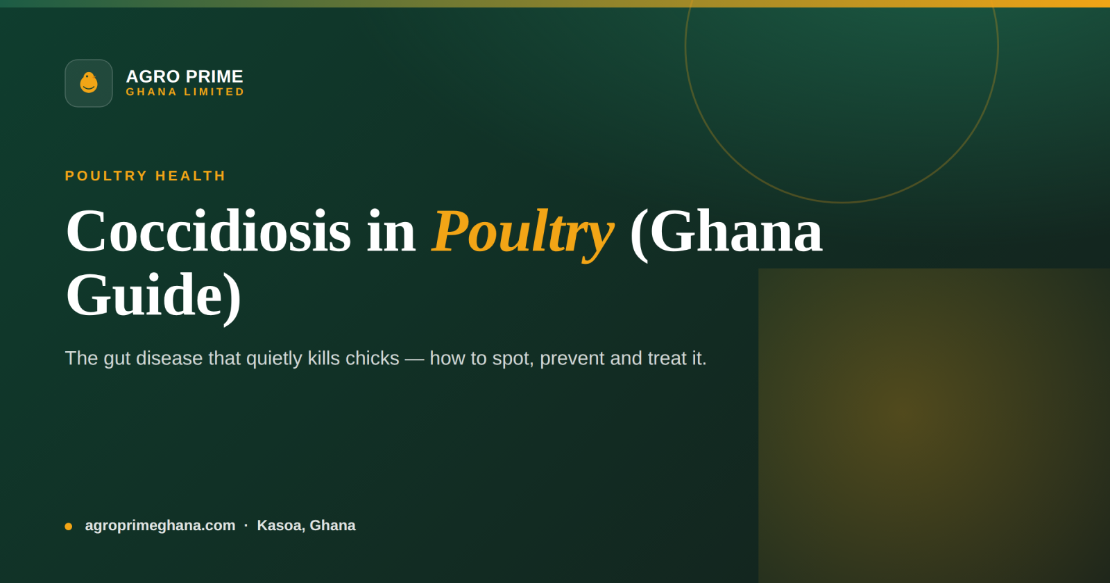 Coccidiosis in poultry — Agro Prime Ghana guide cover