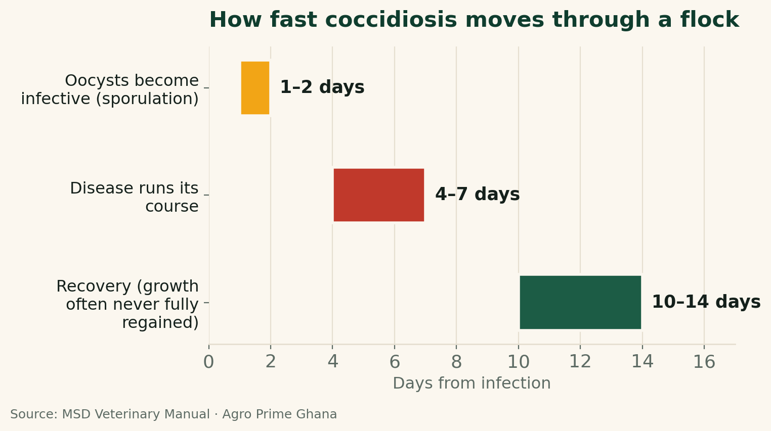 Bar chart of the coccidiosis timeline in days: oocysts become infective in 1-2 days, the disease runs its course in 4-7 days, and recovery takes 10-14 days. Source: MSD Veterinary Manual.