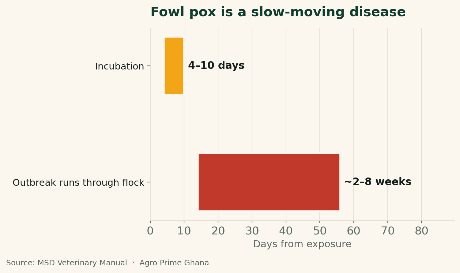 Fowl Pox in Chickens: A Ghana Farmer's Guide — Agro Prime Ghana