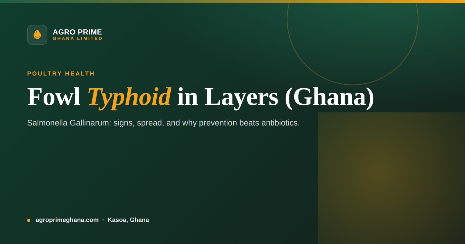 Fowl Typhoid in Layers: A Ghana Farmer's Guide — Agro Prime Ghana