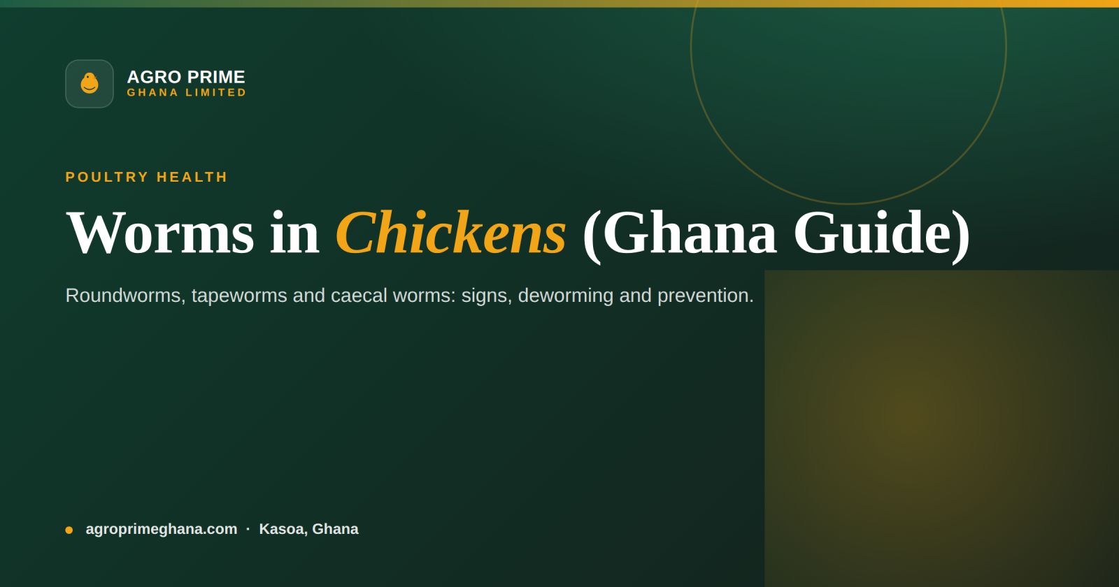 Worms in Chickens: A Ghana Deworming Guide — Agro Prime Ghana