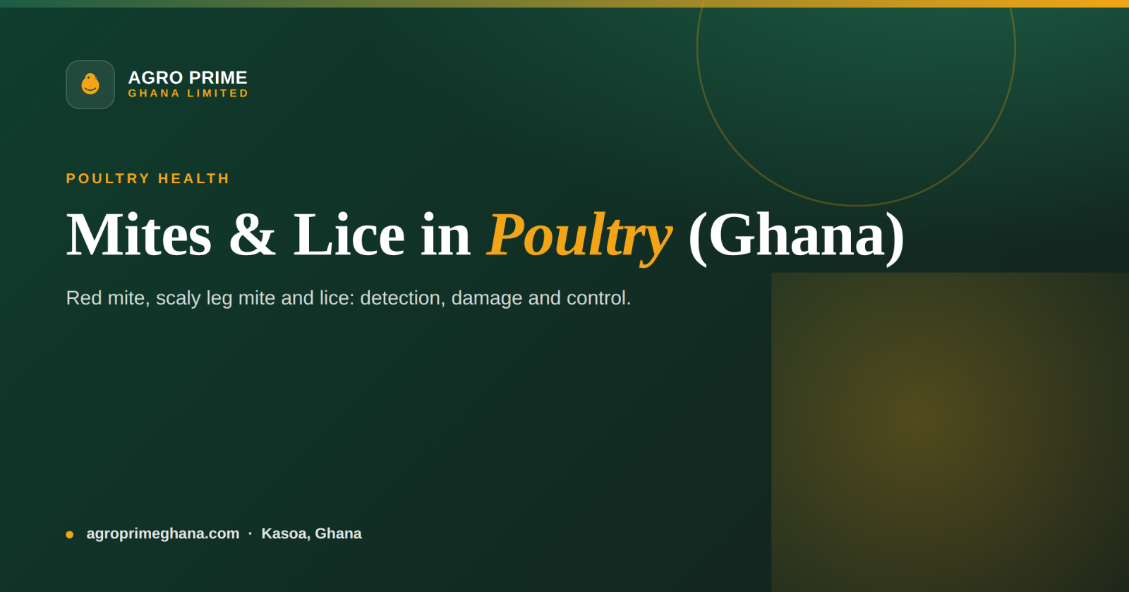 Mites & Lice in Poultry: A Ghana Control Guide — Agro Prime Ghana