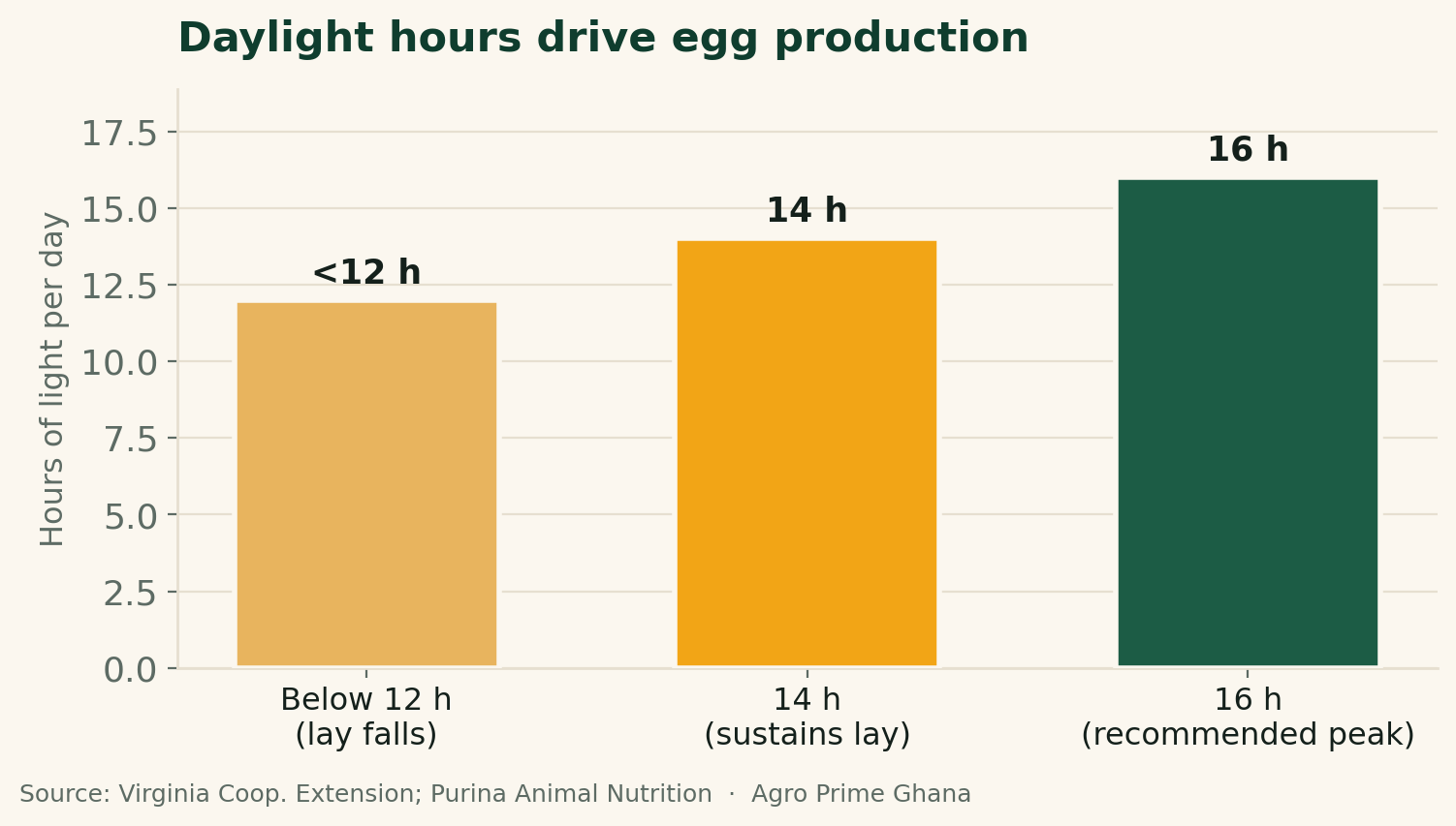 Bar chart of daylight hours and egg laying: below 12 hours lay falls, 14 hours sustains lay, 16 hours recommended for peak. Source: Virginia Cooperative Extension; Purina.
