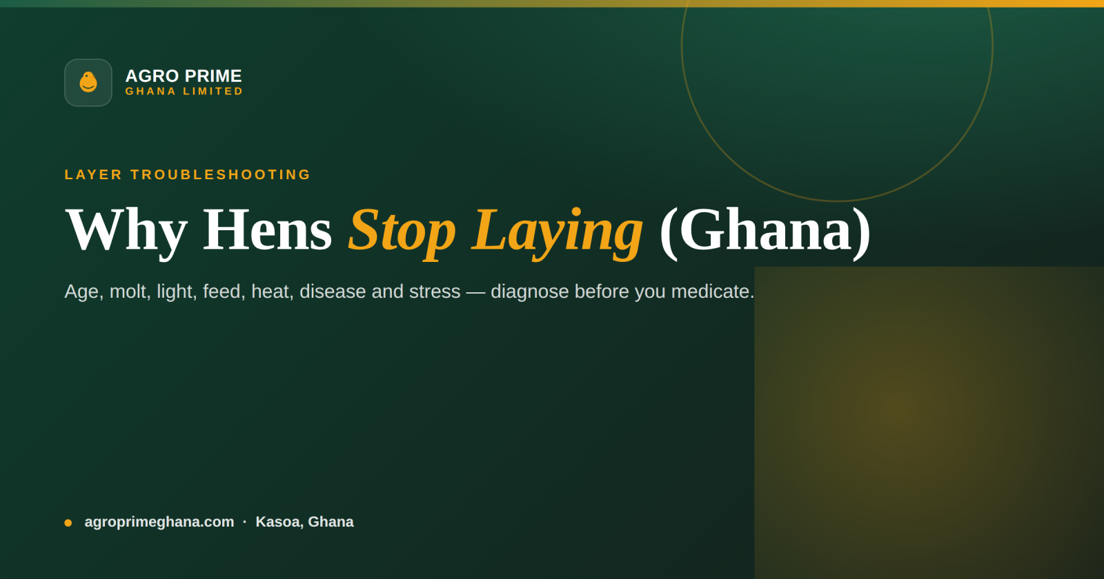Why Hens Stop Laying: A Ghana Diagnostic Checklist — Agro Prime Ghana
