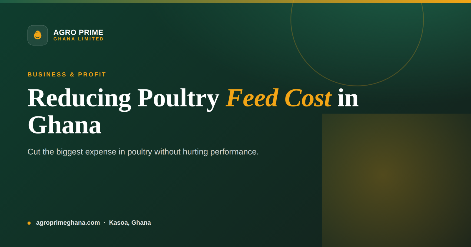 How to Reduce Poultry Feed Cost in Ghana — Agro Prime Ghana