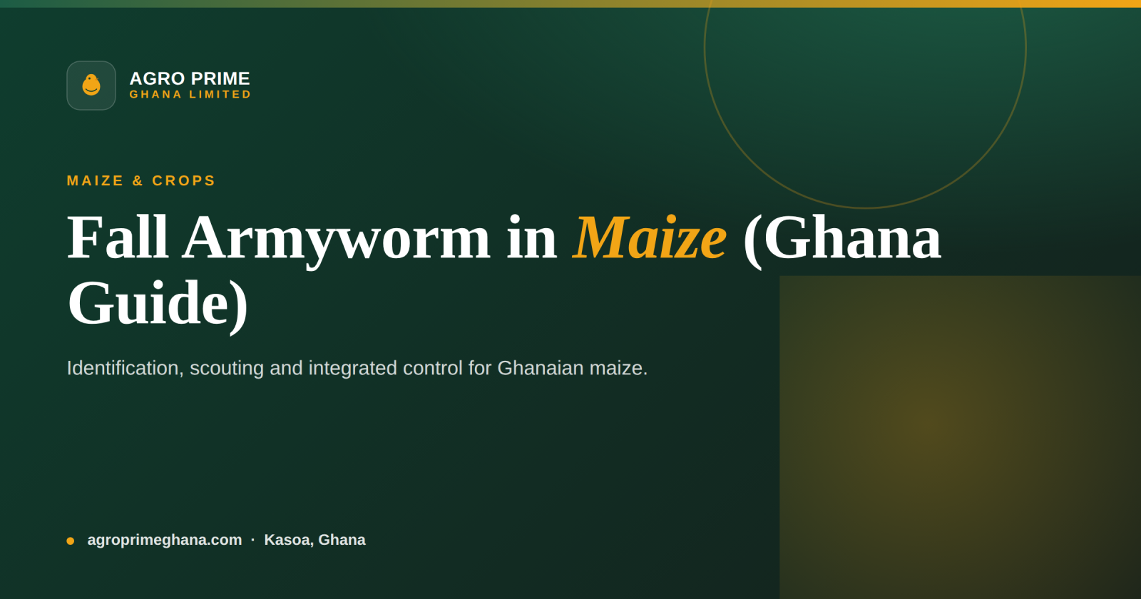 Fall Armyworm in Maize: A Ghana Farmer's Guide — Agro Prime Ghana