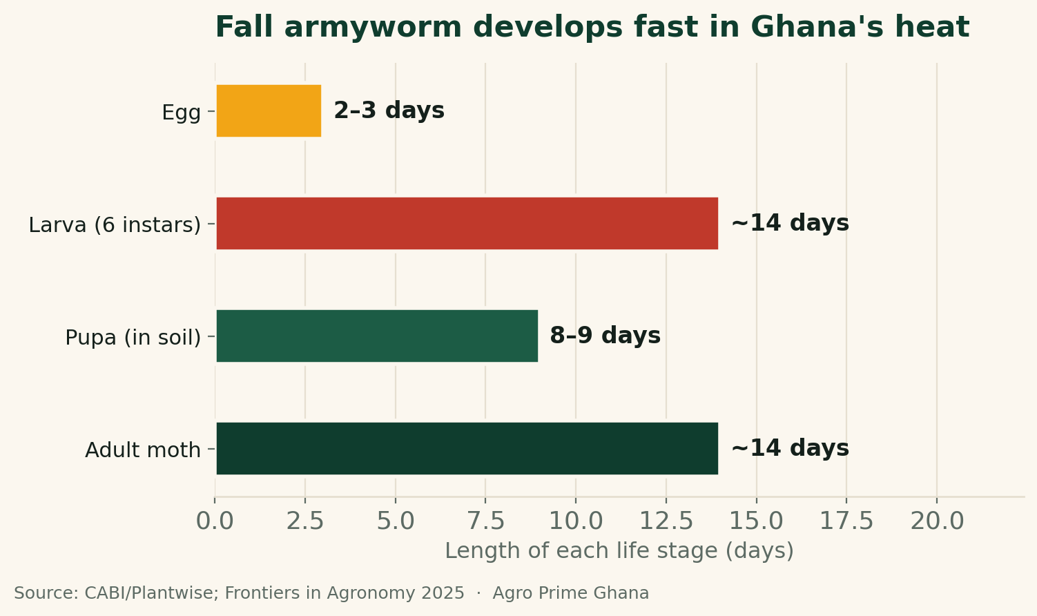 Range chart of fall armyworm life-cycle stage lengths: egg 2-3 days, larva about 14 days, pupa 8-9 days, adult moth about 14 days. Source: CABI/Plantwise; Frontiers in Agronomy 2025.