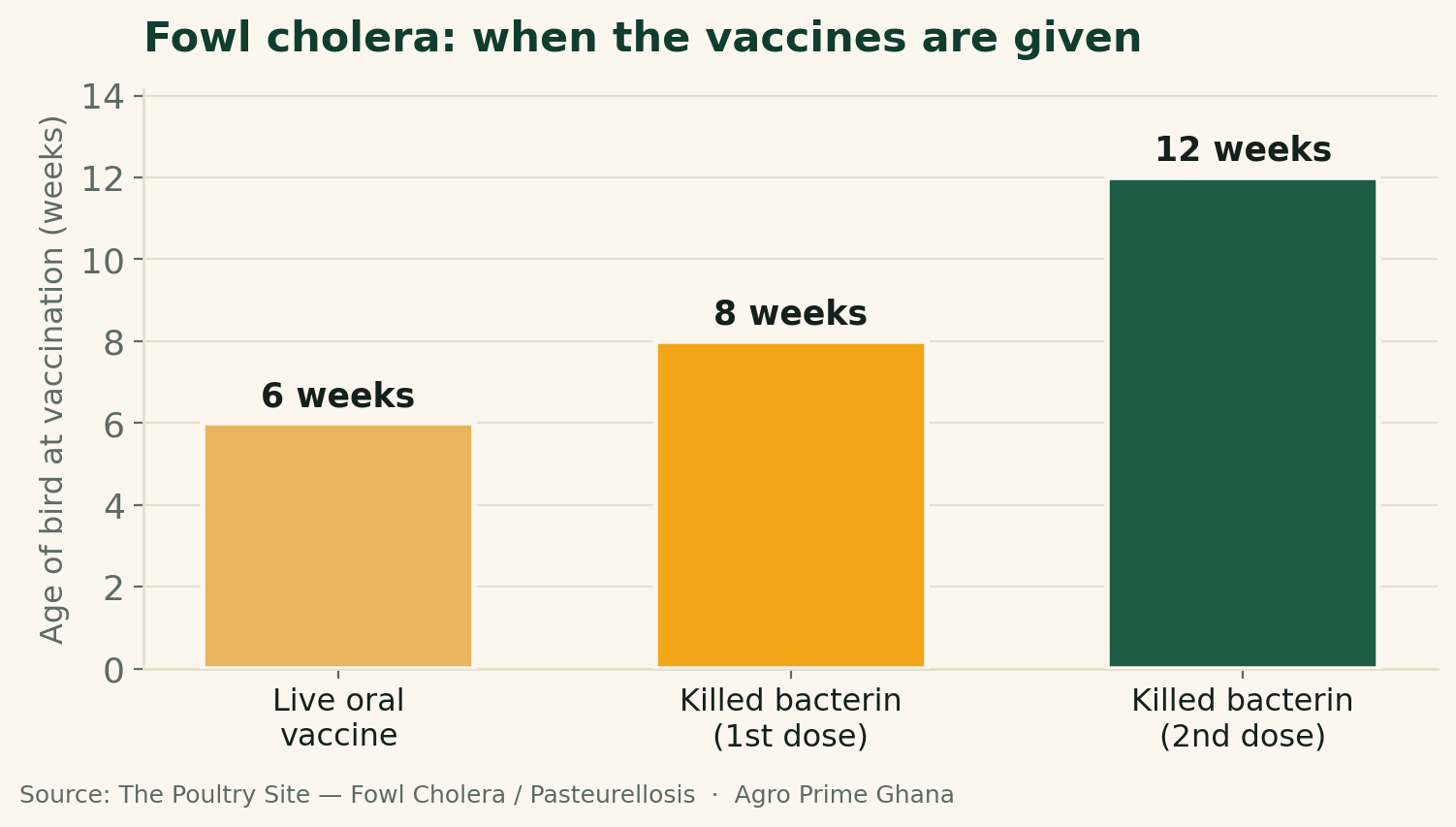 Vertical bar chart showing fowl cholera vaccination ages: live oral vaccine at 6 weeks, killed bacterin doses at 8 and 12 weeks. Source: The Poultry Site.