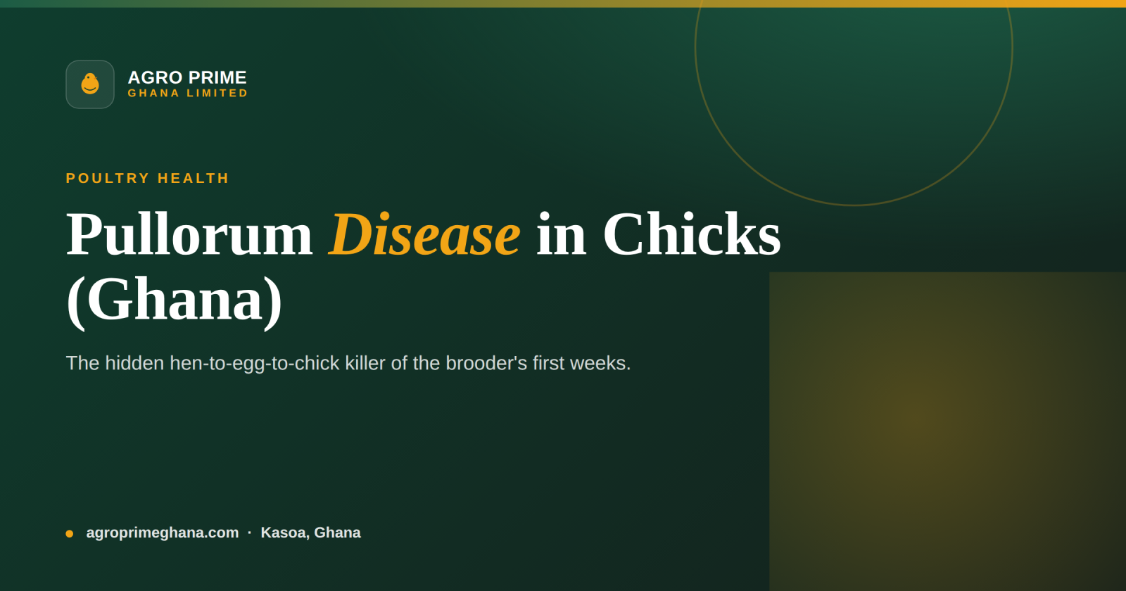 Pullorum Disease in Chicks: A Ghana Farmer's Guide — Agro Prime Ghana