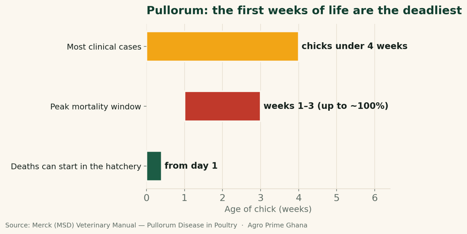 Horizontal timeline showing pullorum hits chicks under 4 weeks, peaks at weeks 1-3 with mortality up to ~100%, and can start in the hatchery from day 1. Source: MSD Veterinary Manual.