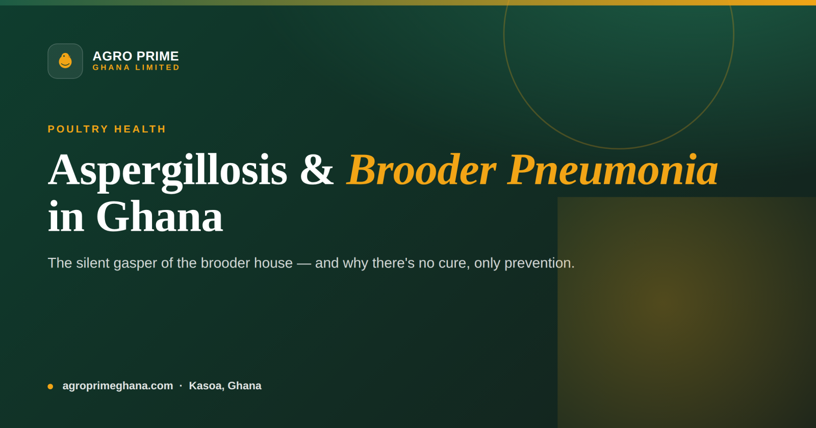 Aspergillosis (Brooder Pneumonia) in Poultry: A Ghana Guide — Agro Prime Ghana