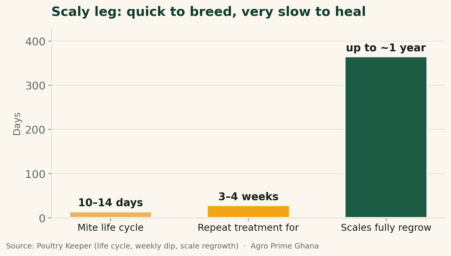 Bar chart contrasting the scaly leg mite's 10–14 day life cycle, 3–4 week treatment, and up to a year for scales to regrow. Source: Poultry Keeper.