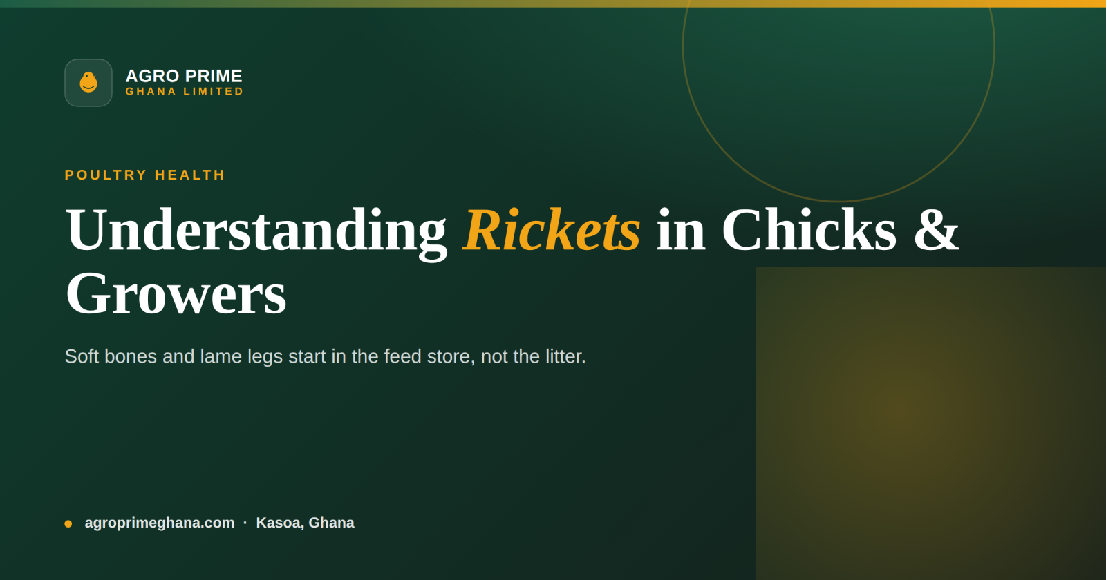 Rickets in Poultry: A Ghana Farmer's Guide — Agro Prime Ghana