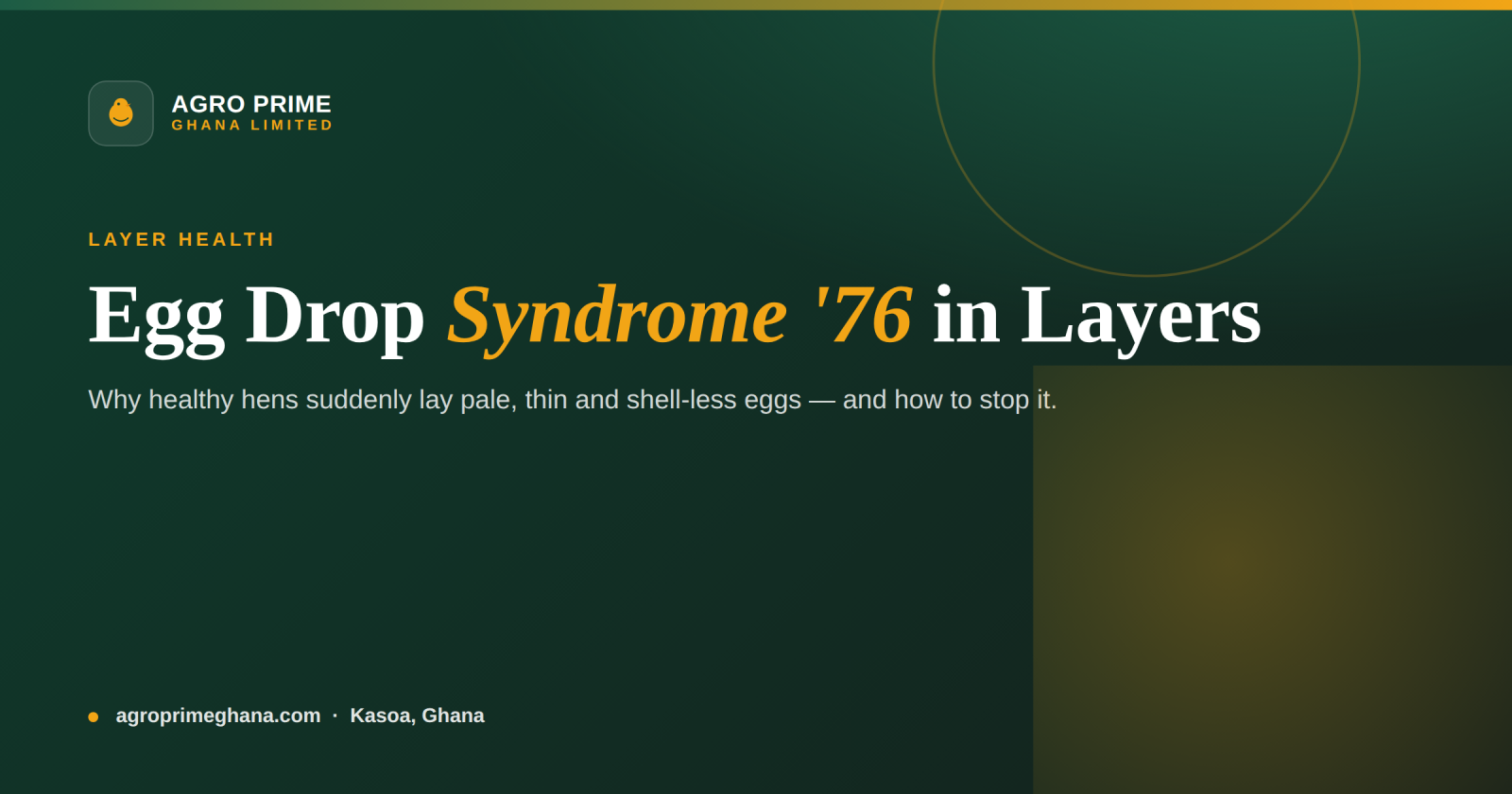 Egg Drop Syndrome '76 (EDS'76) in Layers: A Ghana Guide — Agro Prime Ghana