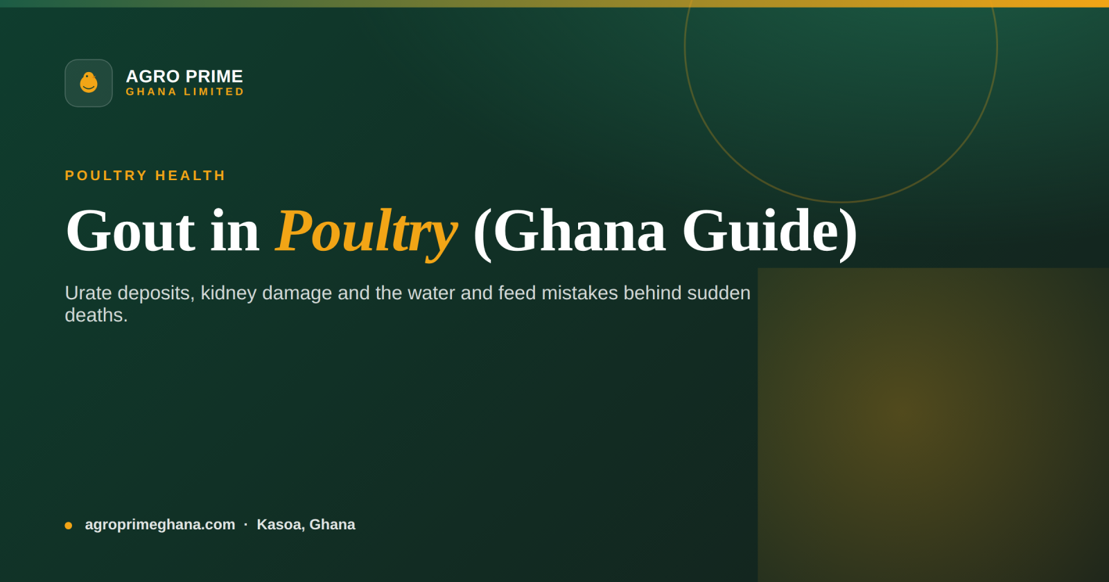 Gout in Poultry: Visceral & Articular Urate Deposits (Ghana) — Agro Prime Ghana