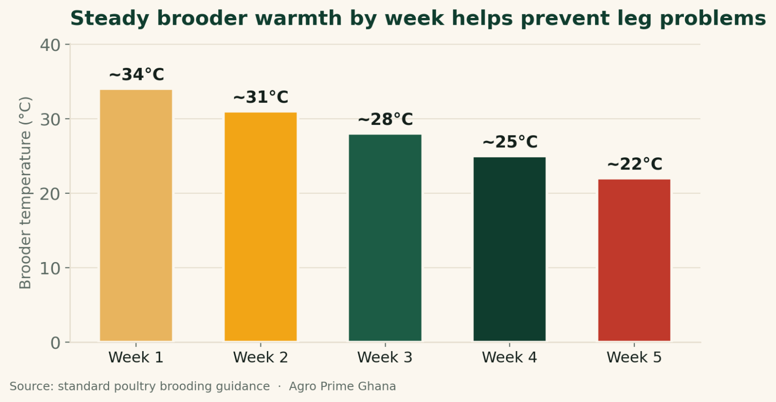 Bar chart of brooder temperature by week, falling from about 34C in week one to about 22C by week five, supporting leg health. Source: standard poultry brooding guidance.