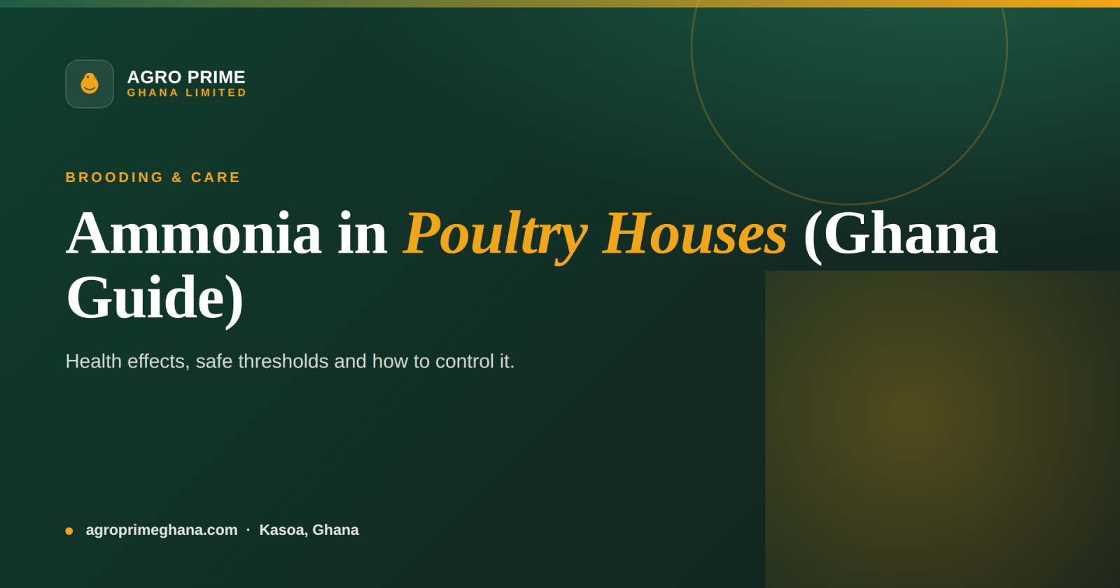 Ammonia in Poultry Houses: A Ghana Farmer's Guide — Agro Prime Ghana