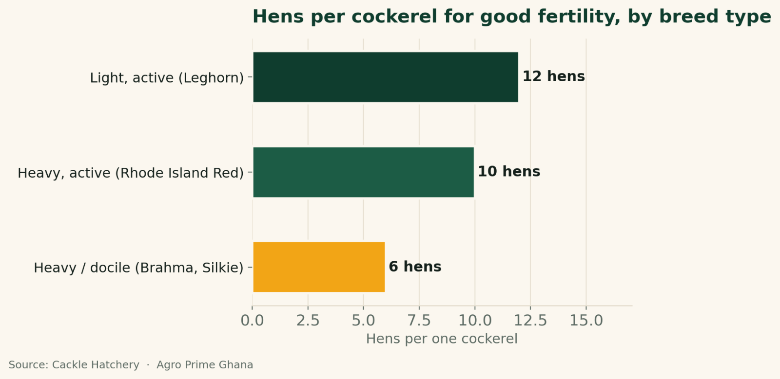 Horizontal bar chart of hens per cockerel for good fertility by breed type: 12 for light active, 10 for heavy active, 6 for heavy or docile breeds. Source: Cackle Hatchery.