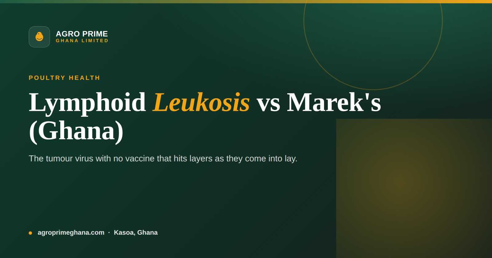 Lymphoid Leukosis vs Marek's Disease: Tumours in Layers (Ghana Guide) — Agro Prime Ghana