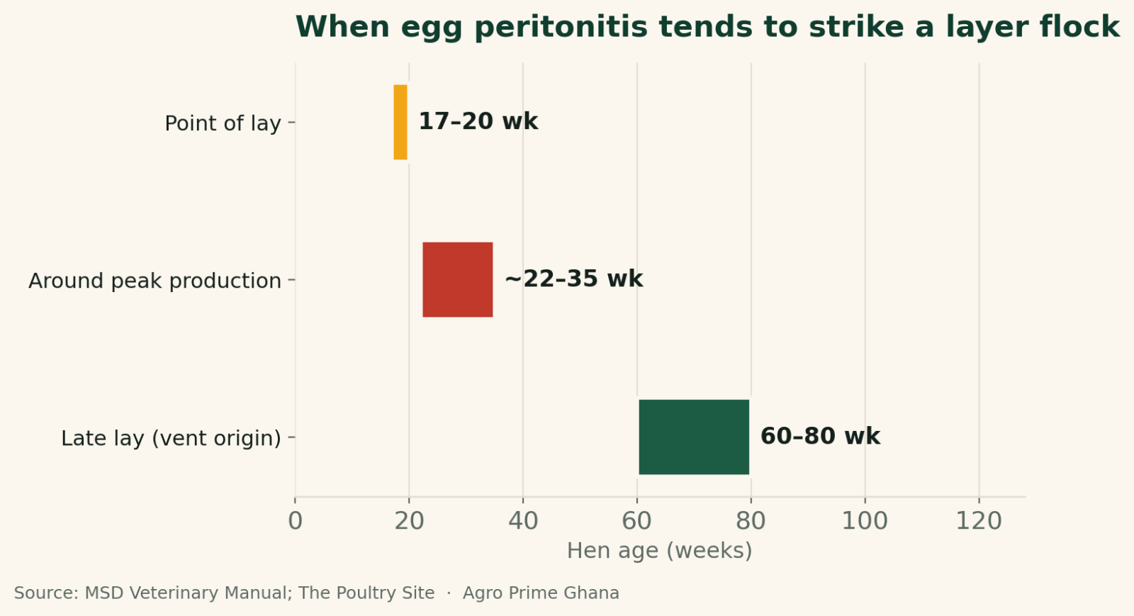 Timeline chart showing egg peritonitis risk windows across a hen's life: point of lay 17-20 weeks, around peak 22-35 weeks, late lay 60-80 weeks. Source: MSD Veterinary Manual; The Poultry Site.