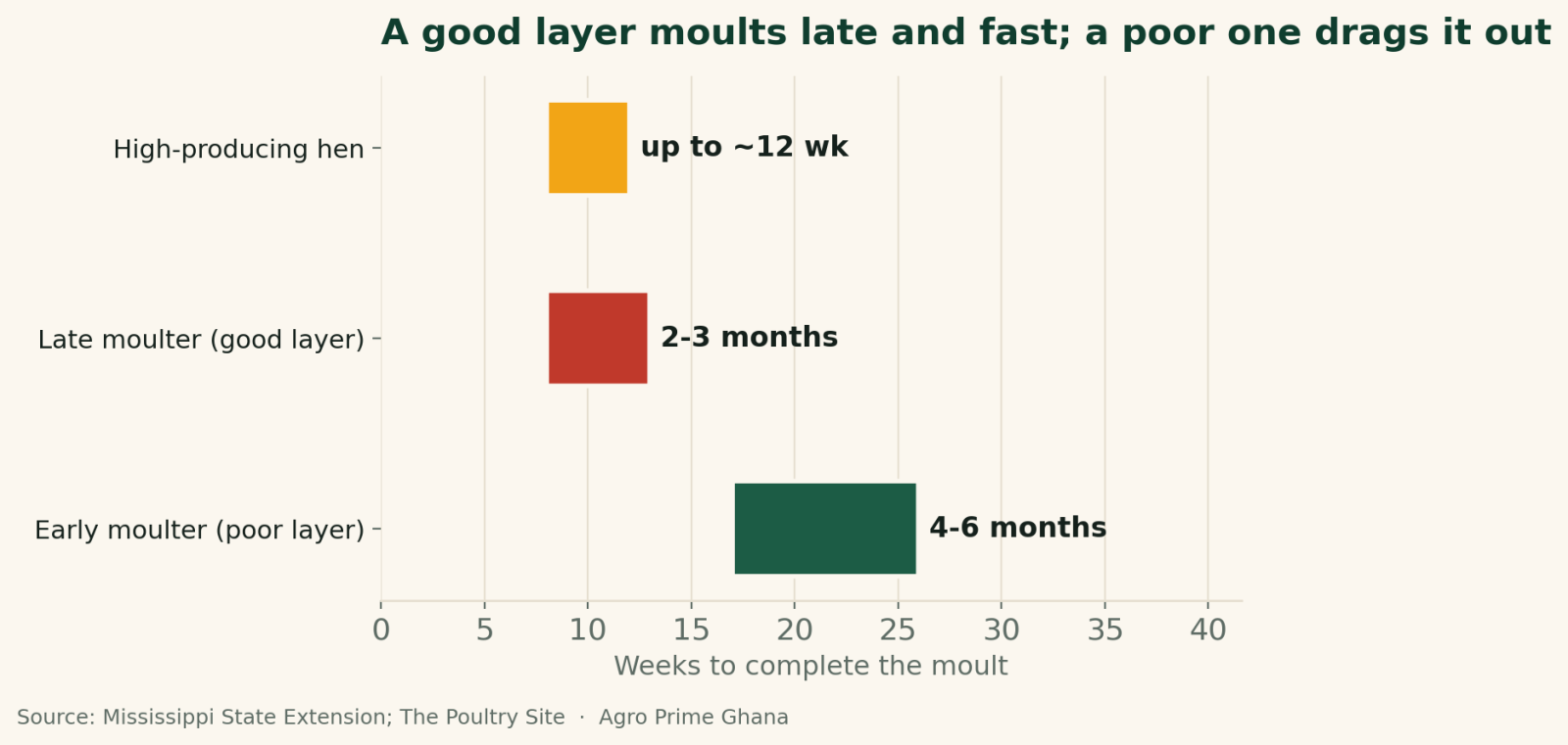 Range chart of natural moult duration: good high-producing and late-moulting hens finish in about 8-13 weeks; poor early moulters take 4-6 months. Source: Mississippi State Extension.