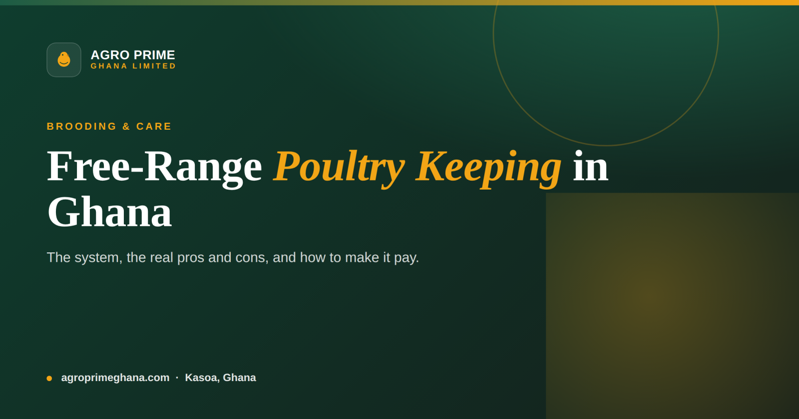 Free-Range Poultry Keeping in Ghana — Agro Prime Ghana