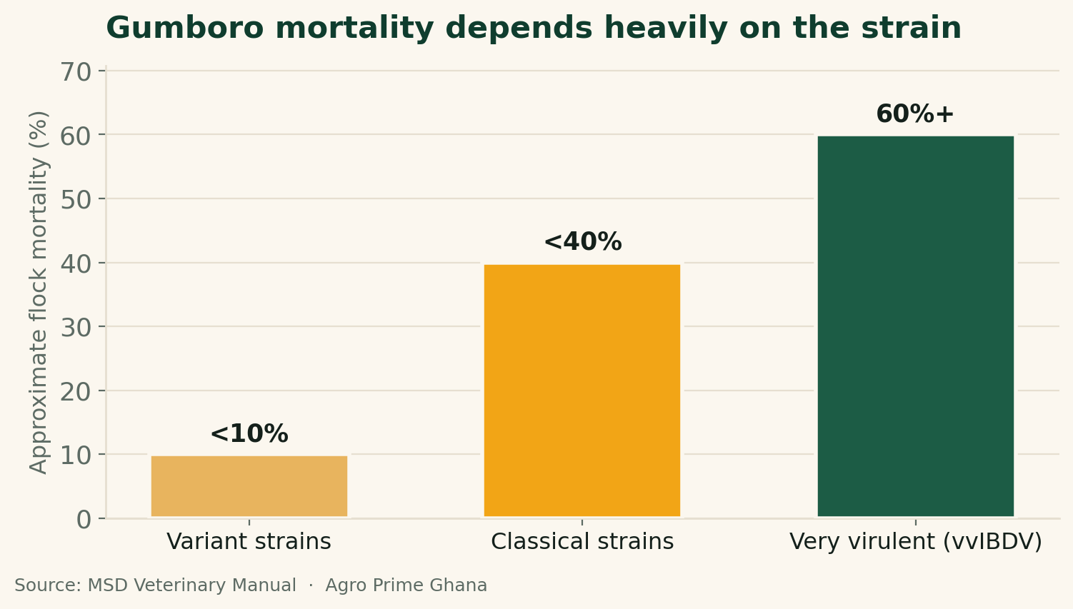 Bar chart of Gumboro flock mortality by IBDV strain: variant under 10%, classical under 40%, very virulent 60% or higher. Source: MSD Veterinary Manual.