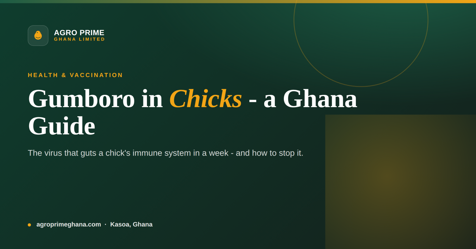 Gumboro (Infectious Bursal Disease) in Chicks: A Ghana Guide — Agro Prime Ghana