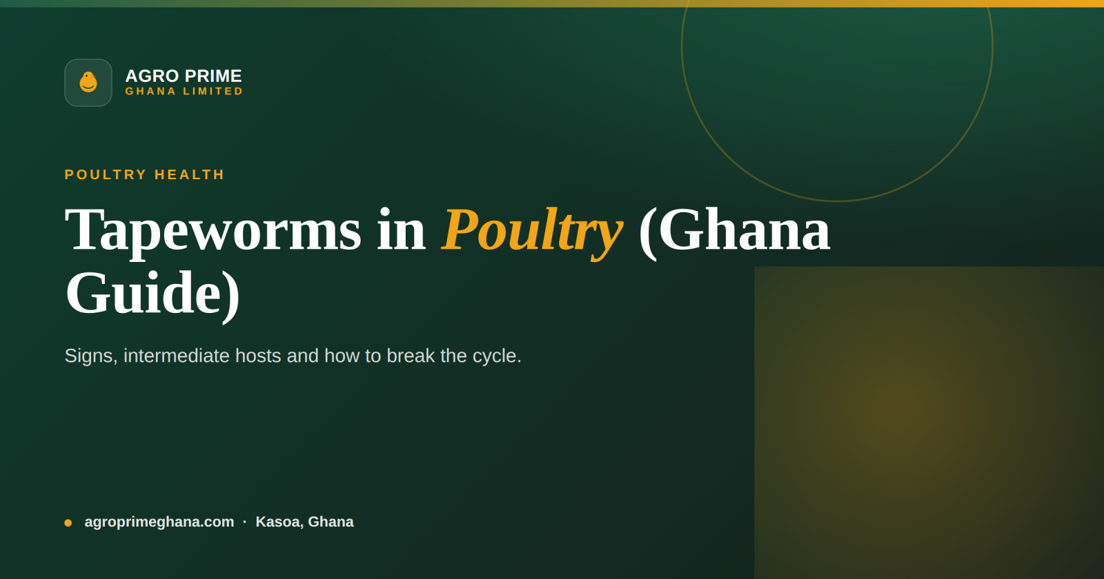 Tapeworms in Poultry: A Ghana Farmer's Guide — Agro Prime Ghana