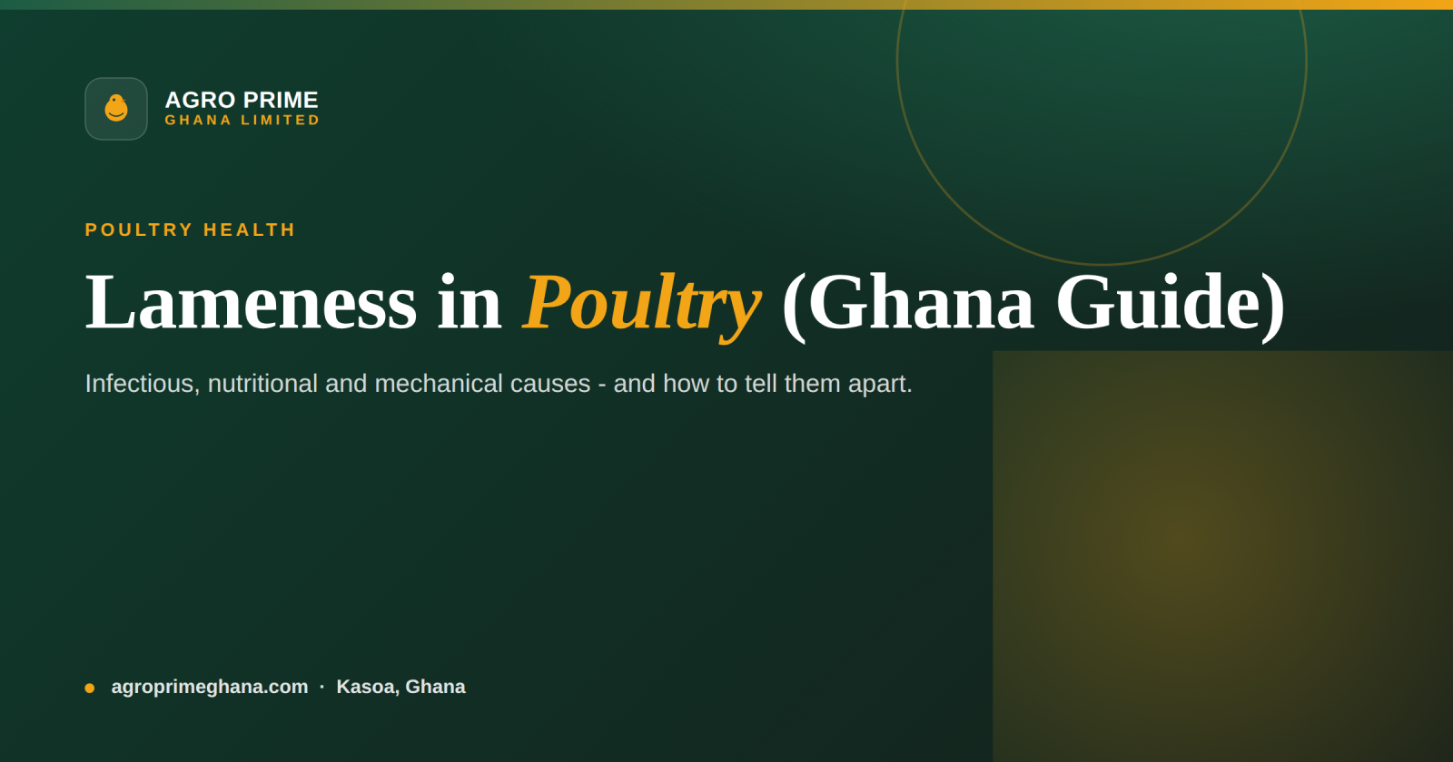 Lameness in Poultry: Causes and Diagnosis (Ghana Guide) — Agro Prime Ghana
