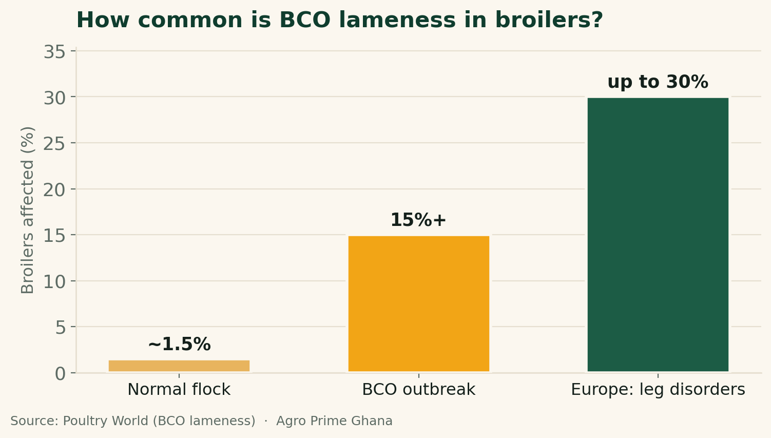 Bar chart of BCO lameness in broilers: about 1.5% of birds normally, over 15% in outbreaks, up to 30% of broilers in Europe. Source: Poultry World.