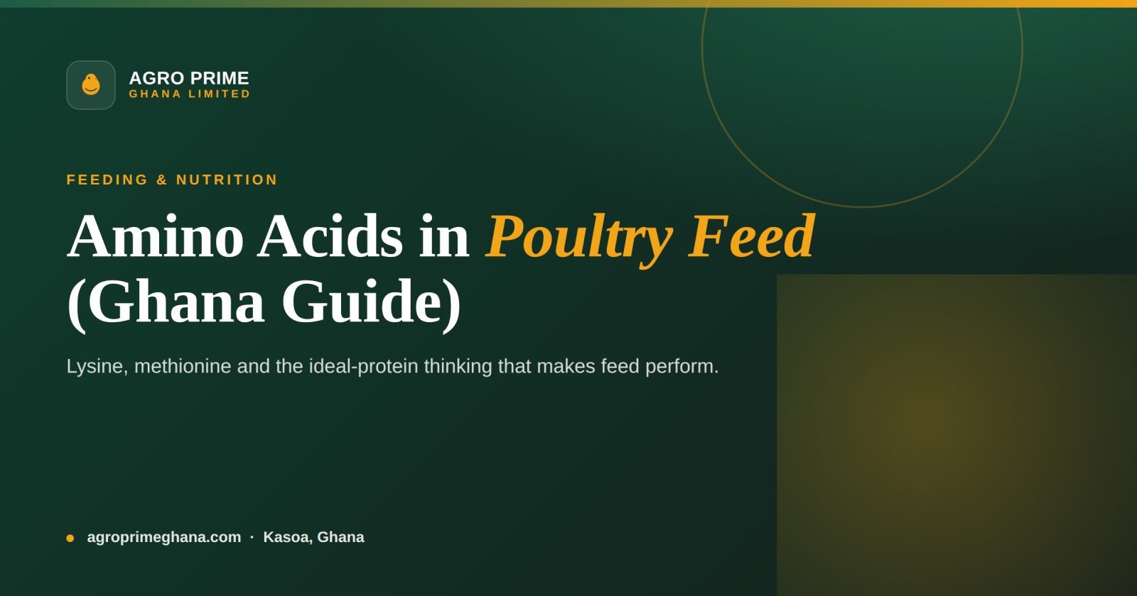 Amino Acids in Poultry Feed: Lysine, Methionine & Ideal Protein — Agro Prime Ghana