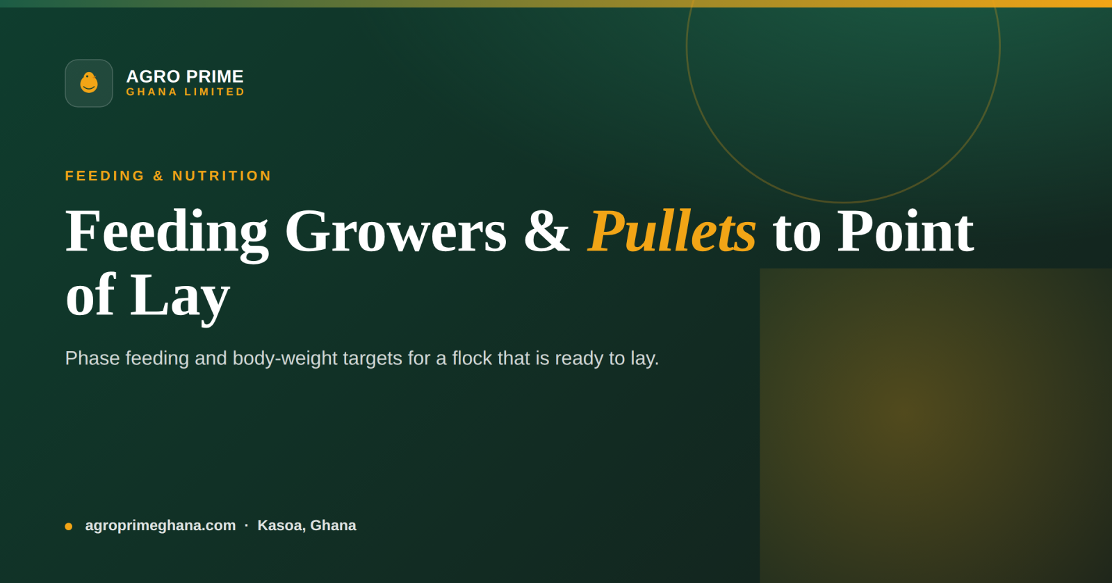 Feeding Growers & Pullets to Point of Lay: A Ghana Guide — Agro Prime Ghana